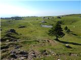 Kranjski Rak  - Kapela Marije Snežne (Velika planina)